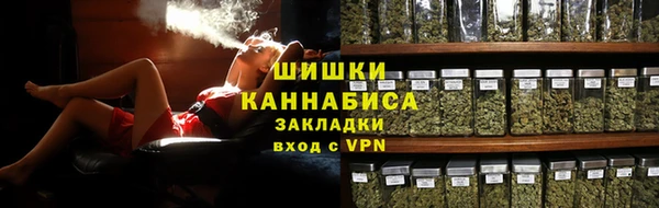 МДПВ Мегион