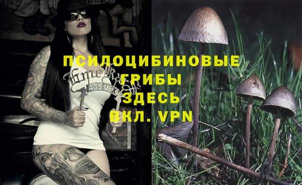 мяу мяу кристалл Медвежьегорск