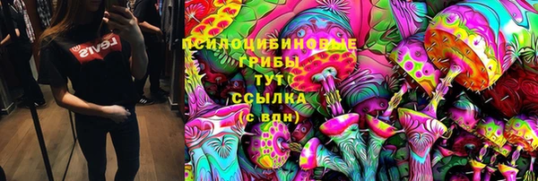 дурь Медногорск